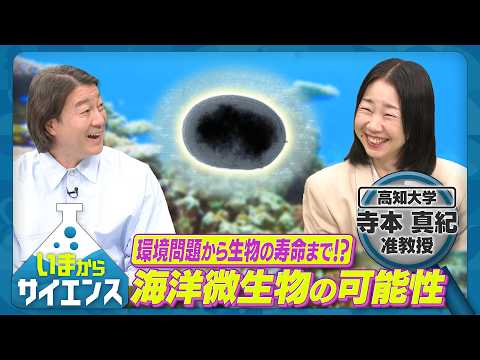 環境問題解決を目指す！可能性を秘めた海洋微生物の力 寺本真紀（高知大学農林海洋科学部准教授）【いまからサイエンス】 サムネイル