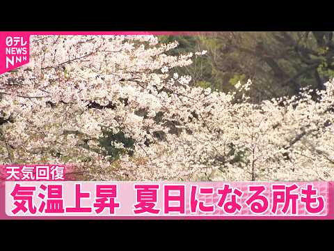 【天気回復】気温上昇  夏日になる所も サムネイル