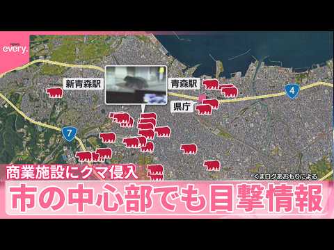 【商業施設にクマ侵入】建物の上の人が警察官とやりとりも…現場周辺には規制線  青森市 サムネイル