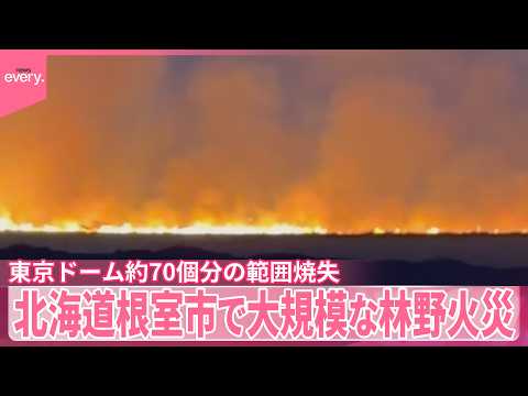 【大規模林野火災】東京ドーム約70個分の範囲焼失  担当者“当時は火災起きやすい状態”  北海道根室市 サムネイル