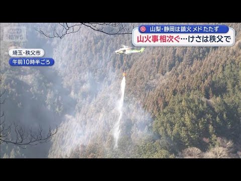 山火事相次ぐ…けさは秩父で　山梨・静岡は鎮火のメドたたず【スーパーJチャンネル】(2026年1月18日) サムネイル