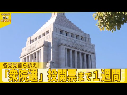 【衆院選】投開票まで1週間  各党党首ら訴え  序盤の戦いは？『バンキシャ！』 サムネイル