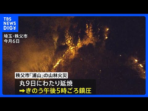 埼玉・秩父市の山林火災 鎮圧　発生から丸9日 約143ヘクタール焼ける｜TBS NEWS DIG サムネイル