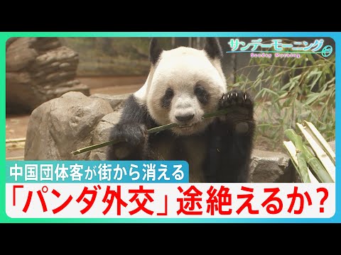 宿泊費2万円から半額以下に…中国人団体客が消えた鎌倉・京都の今　上野のパンダも中国へ「パンダ外交」は途絶えるか？【サン… サムネイル