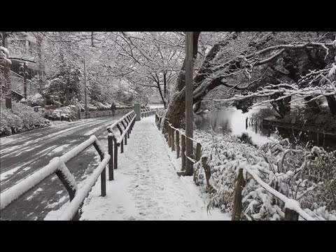 “最強寒波”けさ都心氷点下　2年ぶり積雪5cm事故続出　慣れない雪で“交通マヒ”【もっと知りたい！】【グッド！モーニン… サムネイル