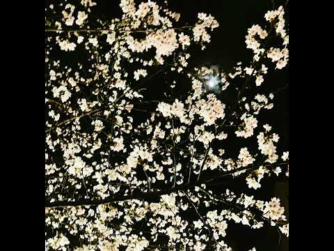 705 ビビデバビデ妄想DJ サムネイル