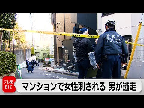 東京・新宿区のマンションでエステ店従業員の女性刺される 男が逃走中 サムネイル