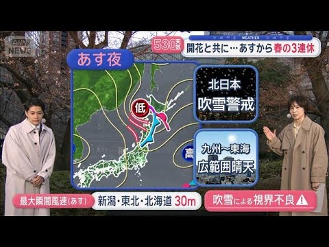 【全国の天気】東京開花　例年より早い桜シーズン　3連休　人気観光地は雨や雪【スーパーJチャンネル】(2026年3月19… サムネイル