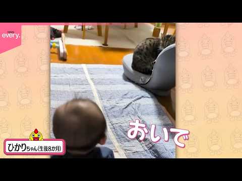 【投稿動画】ネコを呼んでも呼んでも塩対応  実は記念すべき瞬間『every.特集』 サムネイル