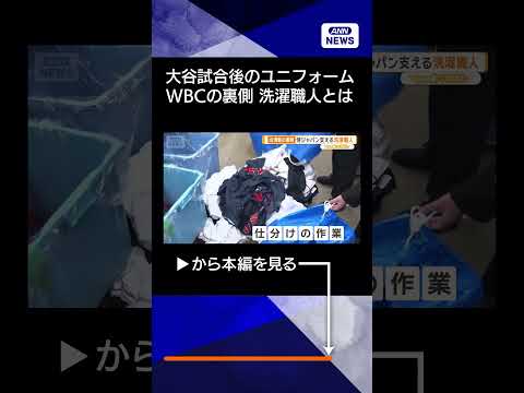 【大谷翔平が満塁ホームランを放った台湾戦】侍ジャパンを支える洗濯職人　大谷選手のユニフォームも　一晩で1000点　WB… サムネイル