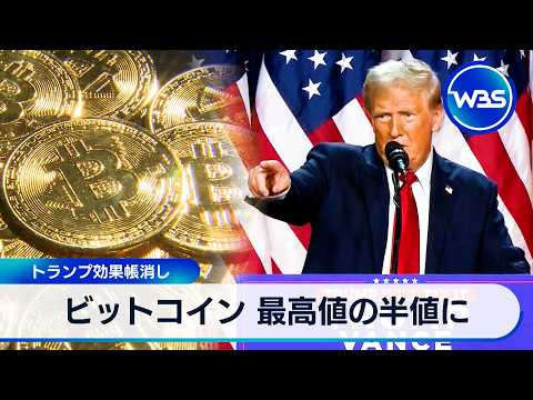 ビットコイン 最高値の半値に トランプ効果帳消し【ＷＢＳ】 サムネイル