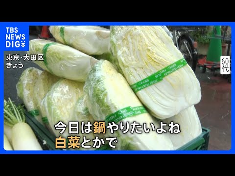 「今週がチャンス」 レタス54円 ホウレンソウ105円　葉物野菜が安い！ 関東“真冬並み気温”に逆戻りの中「鍋が食べた… サムネイル