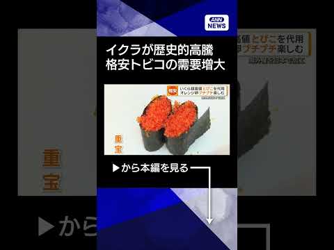 【ニュース】イクラが歴史的高騰　格安トビコに注目集まる　プチプチ感は海外でも人気、輸出5倍に shorts サムネイル