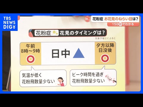 桜が満開になる頃、スギ花粉はピークアウト？花粉症の人におすすめの“花見タイミング”とは【Nスタ解説】｜TBS NEWS… サムネイル