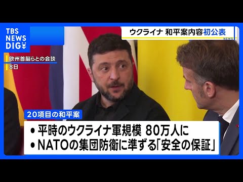 ゼレンスキー大統領が「20項目の和平案」を公表 最終決定には首脳間協議｜TBS NEWS DIG サムネイル