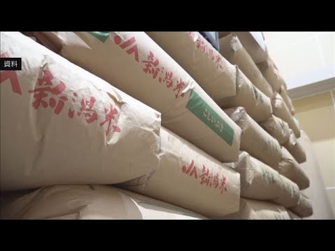 コメ民間在庫率 2カ月連続で過去最大　下落傾向もまだ高い価格が一因(2026年3月31日) サムネイル