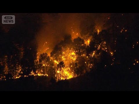 山梨・上野原市で山火事　民家まで約1km【スーパーJチャンネル】(2026年1月8日) サムネイル