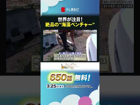 世界が注目！絶品の“海藻ベンチャー” shorts カンブリア宮殿 シーベジタブル 海藻 サムネイル