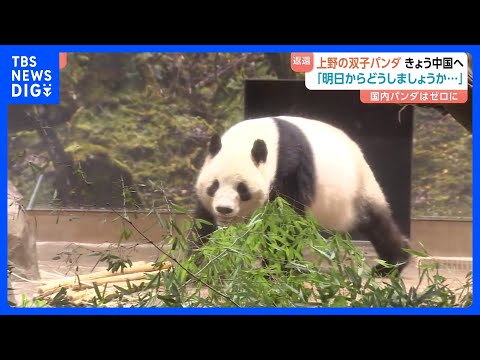 東京・上野動物園の双子パンダ きょう中国へ向け出発 「明日からどうしましょうか…」ファンからは別れを惜しむ声　日中関係… サムネイル