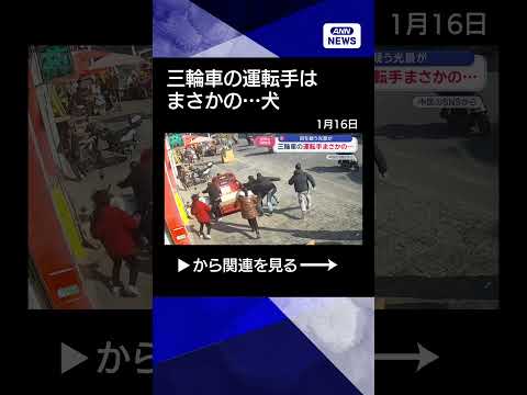 【ニュース】三輪車の運転手はまさかの…目を疑う光景が shorts サムネイル