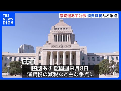 衆議院選挙あす公示　午後に党首討論へ 消費減税などめぐり論戦　来月8日投開票｜TBS NEWS DIG サムネイル