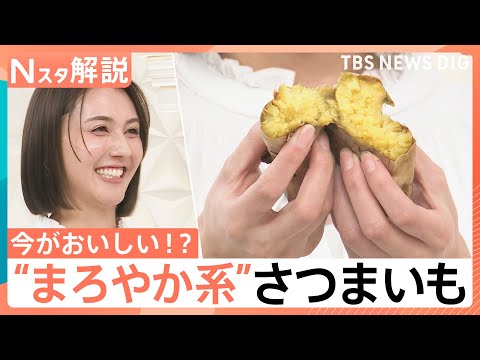 ねっとり派？ホクホク派？ 甘さ引き立つ冬のさつまいも…“まろやか系”も登場、農家直伝！さつまいもの選び方【Nスタ解説】… サムネイル