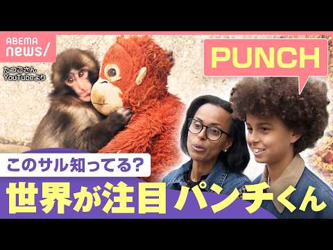 【世界が夢中】SNSで一気に拡散“子ザル・パンチくん”大バズりに写真撮影者は「尋常じゃない“いいね数”…ちょっと怖さも… サムネイル
