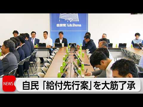 国民会議の実務者会議で提示された制度案に大筋で了承 サムネイル