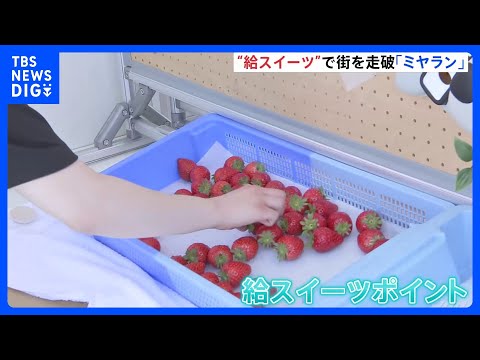 スイーツ味わいながらランニング「ミヤラン」開催 「給水ポイント」ならぬ「給スイーツポイント」あんず棒やさくら杏仁豆腐な… サムネイル