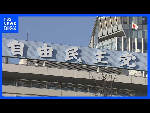 “正式な停戦成立後にホルムズ海峡へ掃海艇の派遣検討を” イラン情勢めぐり自民党が緊急提言案｜TBS NEWS DIG サムネイル
