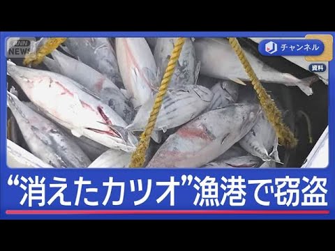 “消えたカツオ”漁港で大規模窃盗　水産会社元常務に懲役3年求刑【スーパーJチャンネル】(2026年2月4日) サムネイル
