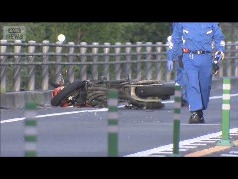 シカと衝突後“ひき逃げ”されたか…現場に倒れたバイク 運転中に動物と遭遇 対処法は【報道ステーション】(2026年4月… サムネイル