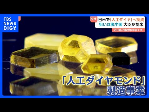 日本の対米80兆円投資 第1号案件は「人工ダイヤモンド」 背景には“圧倒的シェア握る”中国の影… 赤沢大臣きょう訪米… サムネイル