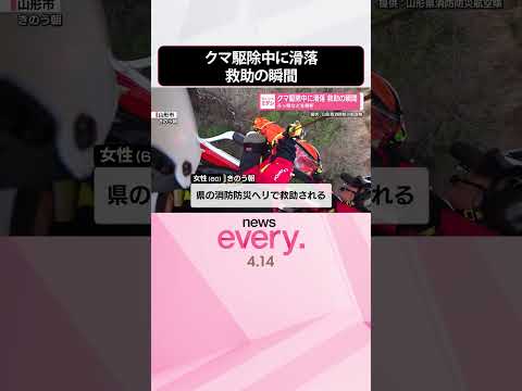 【救助の瞬間】クマ駆除中に60歳女性が滑落  ろっ骨などを骨折  shorts サムネイル