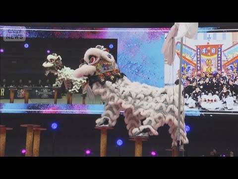 中華獅子舞の世界大会が日本初開催　8つの国と地域から参加、2人1組で獅子操る【グッド！モーニング】(2026年4月6日) サムネイル
