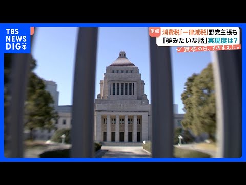 食料品の消費税「2年間ゼロ」自民・維新が“検討加速”　中道は“恒久的にゼロ”主張 「現実的ではない」懸念の声も… 議論… サムネイル